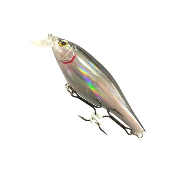 Text